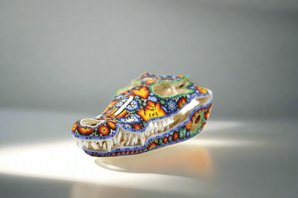 Cráneo de cocodrilo - Yutsi tutuya IV - Arte Huichol - Marakame