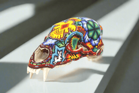 Cráneo de oso Huichol - Werika Rhotze - Arte Huichol - Marakame